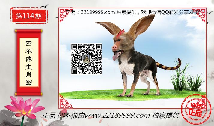 引言部分（约358字）正版四不像特肖图2019年,133期