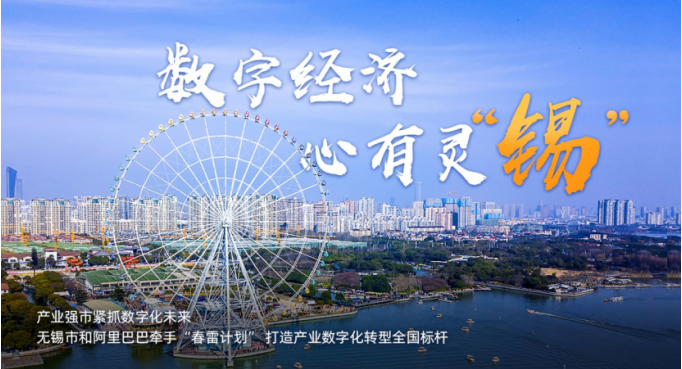 2035年，澳门马赛的数字化革新与未来展望2023澳门马今晚开奖结果出来