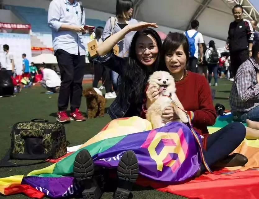 彩虹旗娱乐论坛，多元文化的交汇与包容的乐园彩虹旗娱乐论坛12周年