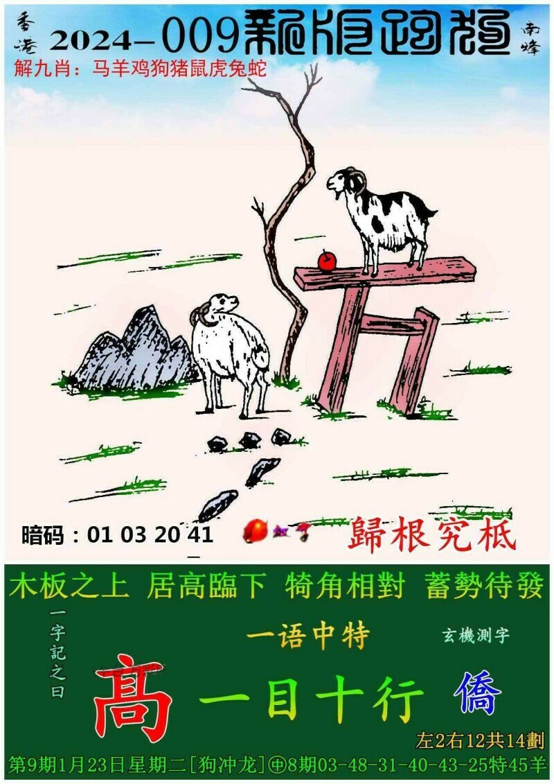 探索新跑狗，高清彩图下的竞速魅力新跑狗高清跑狗图彩图大全