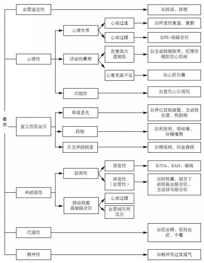 探索神秘数字629304，四不像图背后的奥秘626969四不像图论坛
