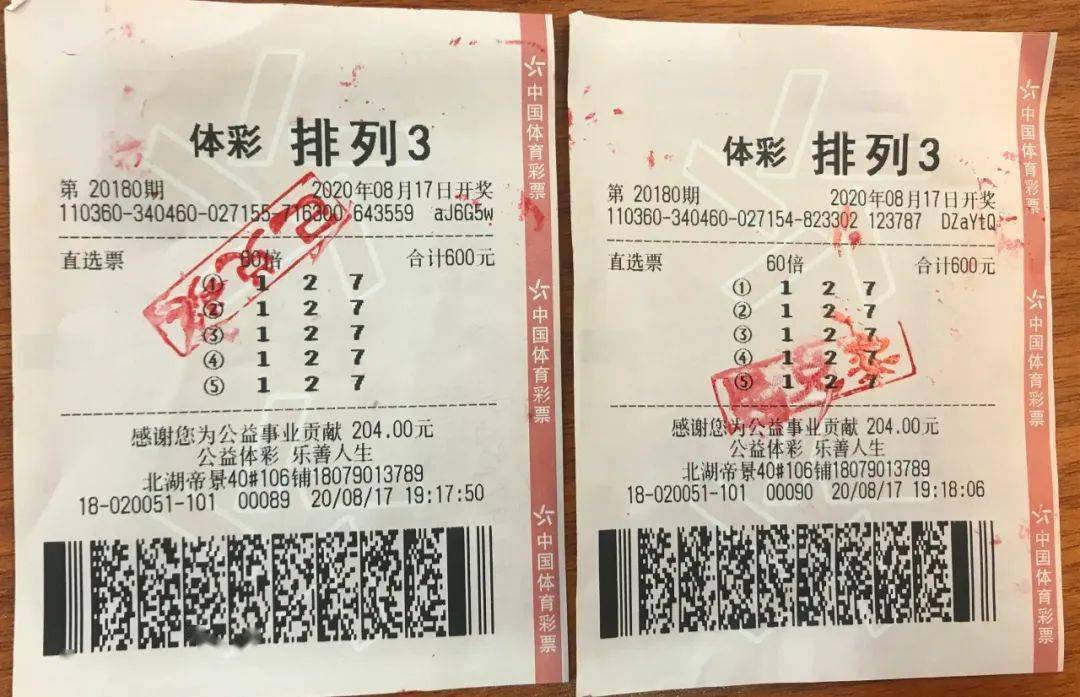 澳门码今期开奖结果，揭秘彩票背后的故事与影响澳门码今期开奖结果下载最新
