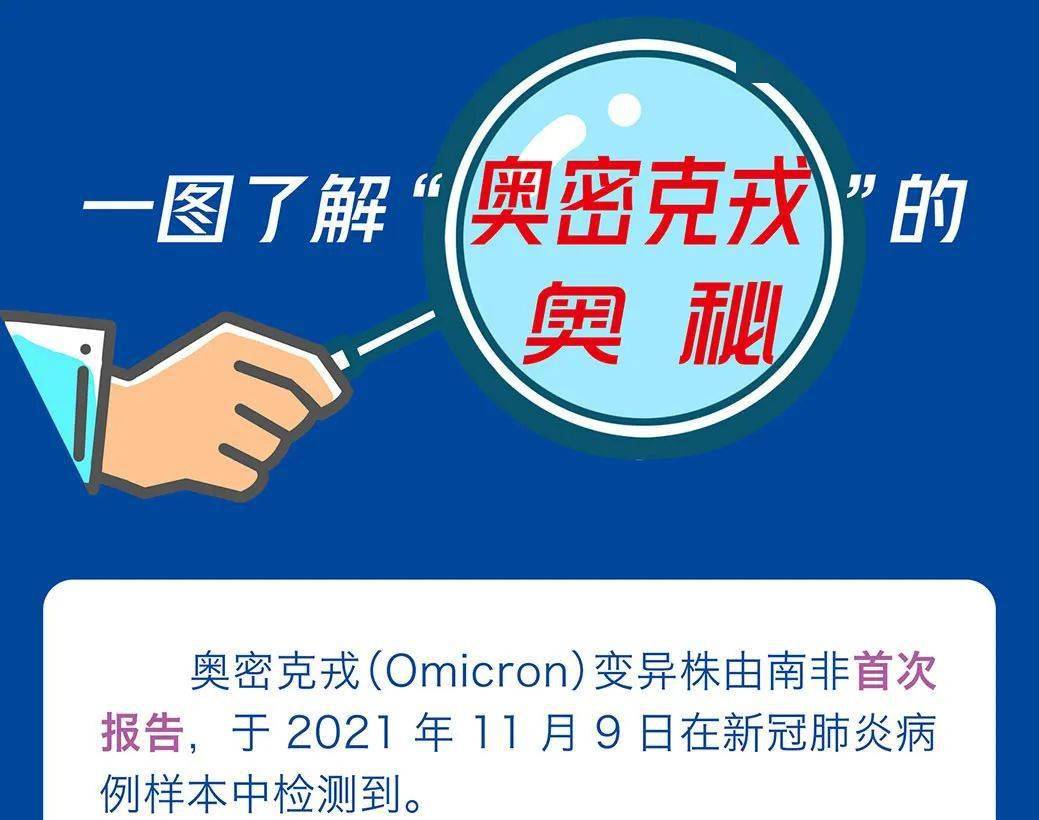 探寻新奥门彩票资料群的秘密，从迷雾到真相的旅程奥门彩票有限公司 官网新版在线播放